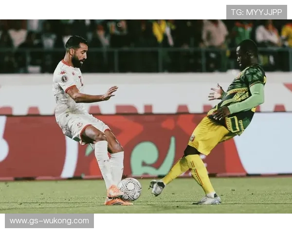 从组织者到终结参与者：奥尔莫的数据进化