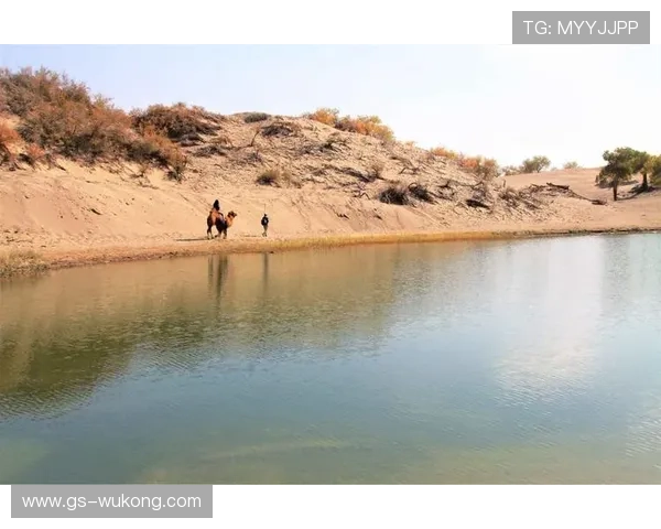 李盈莹刚训练完换衣服那速度，生怕有人看傻了眼吧这也太洒脱了！
