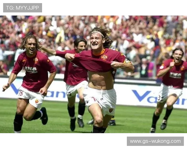 托蒂与德罗巴在意甲下的射门分布转移趋势