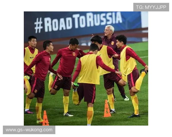 中国男足备战世预赛关键战，教练组重点考察球员状态